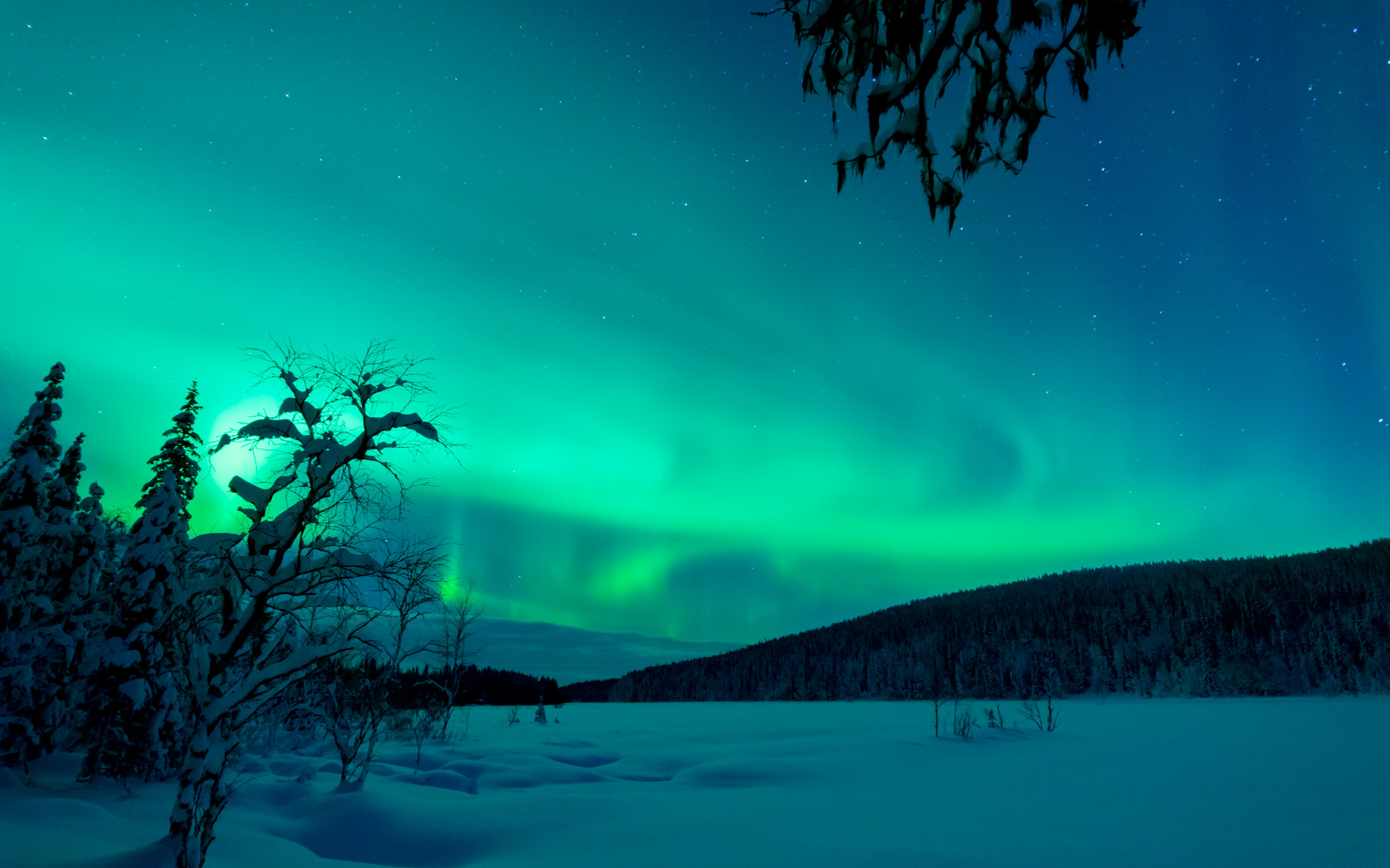 Northern Lights